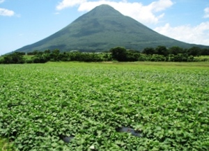 開聞岳